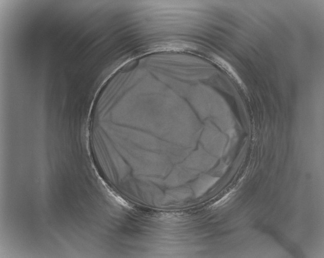 X0000074260802200609222149