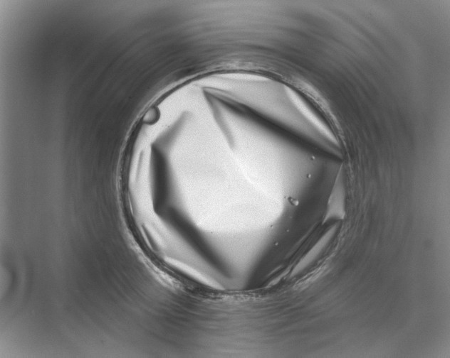 X0000074260803200609222149