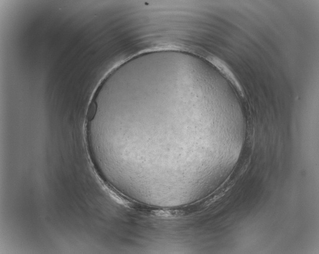 X0000074260805200609222149