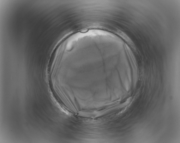 X0000074260806200609222149