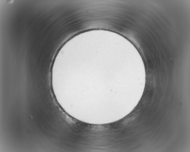 X0000074260807200609222149