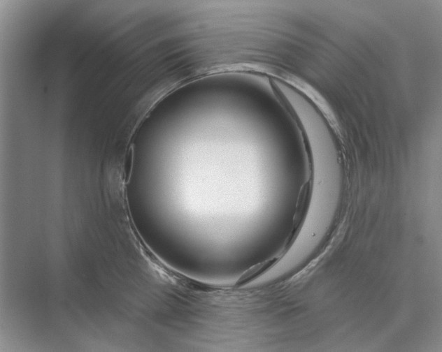 X0000074260809200609222149