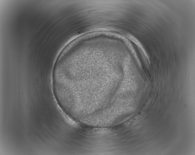 X0000074260811200609222149