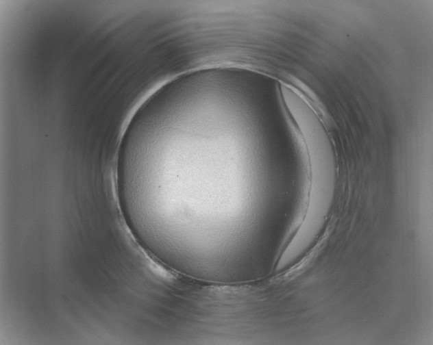 X0000074260812200609222149