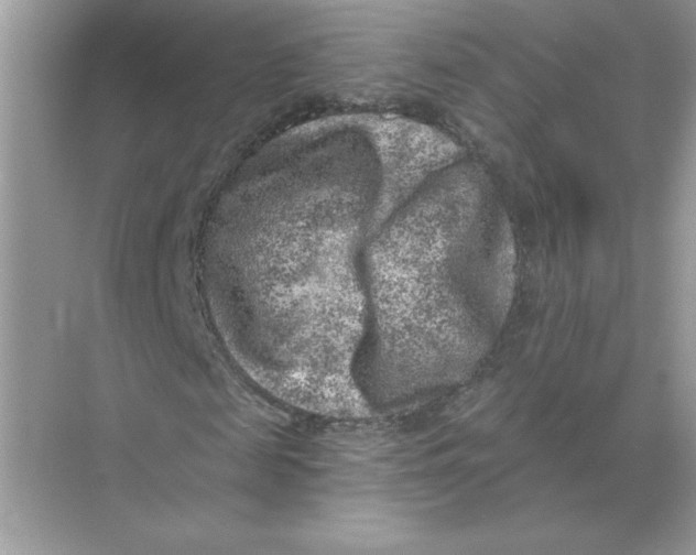 X0000074260817200609222148