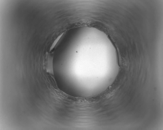 X0000074260818200609222148