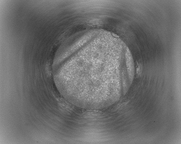 X0000074260819200609222148