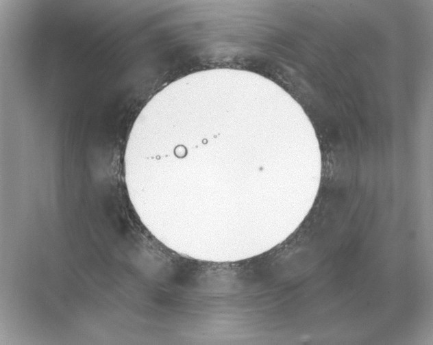 X0000074260820200609222148