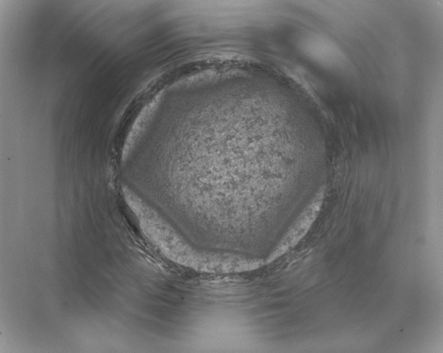 X0000074260823200609222148