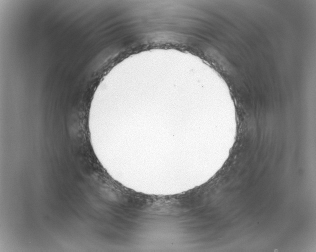 X0000074260824200609222148