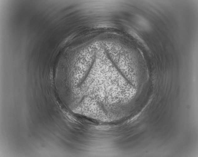 X0000074260825200609222148