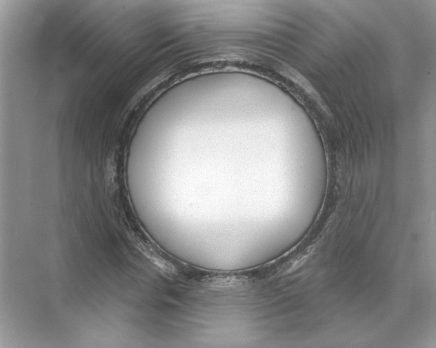 X0000074260826200609222148