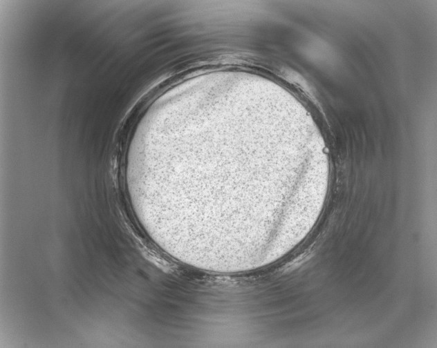 X0000074260827200609222148