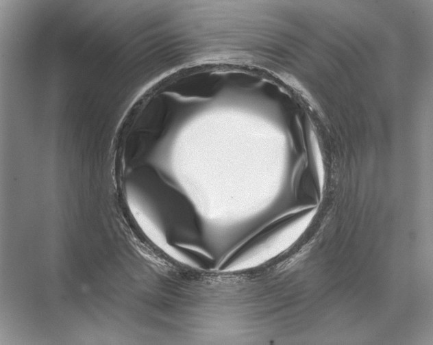 X0000074260830200609222149