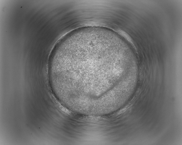 X0000074260831200609222149