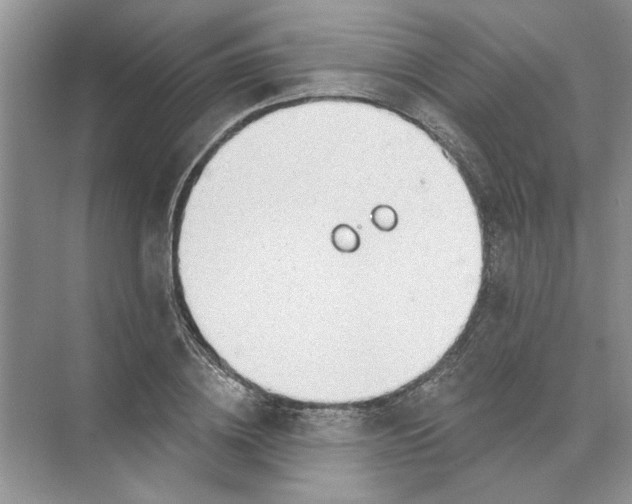 X0000074260836200609222149