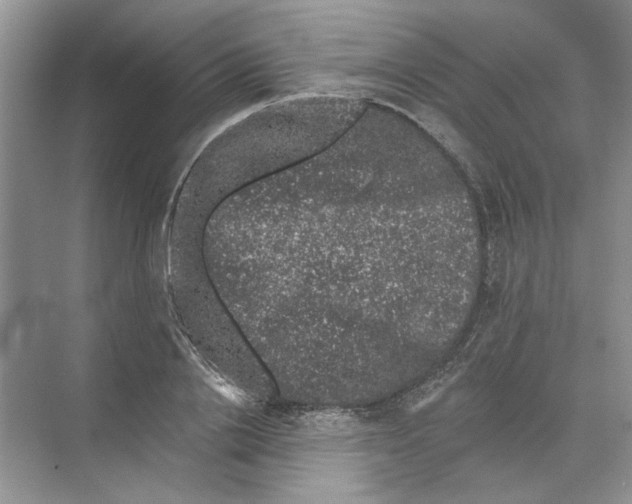 X0000074260838200609222149