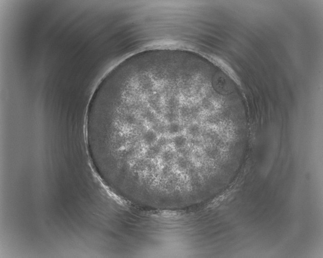 X0000074260839200609222149