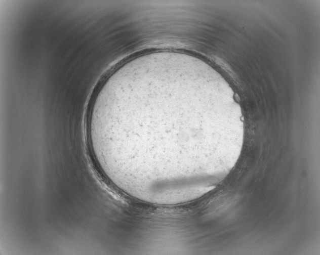 X0000074260840200609222149