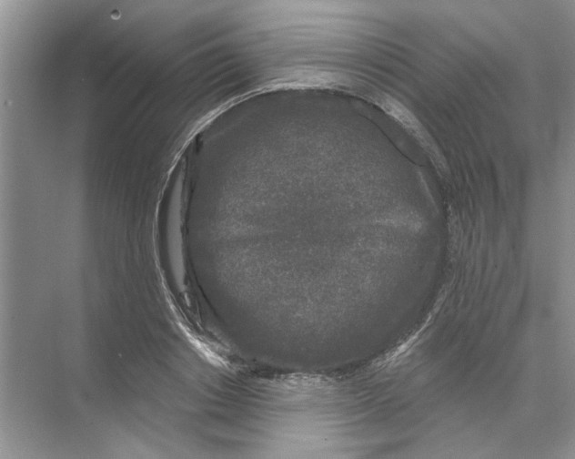 X0000074260842200609222149