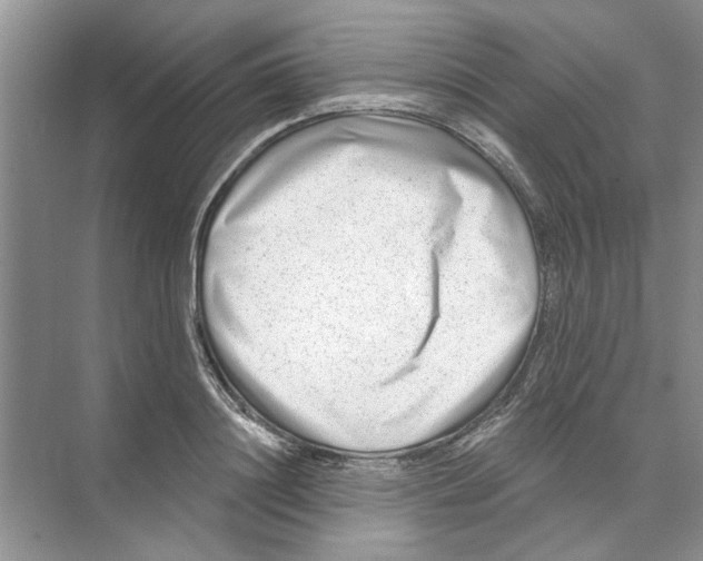 X0000074260844200609222149