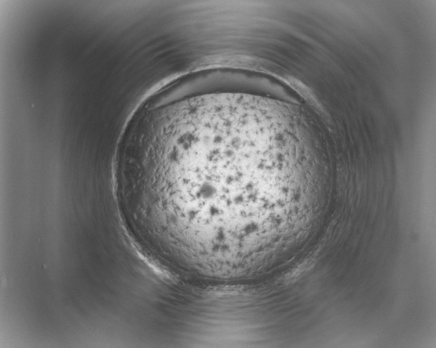 X0000074260846200609222149