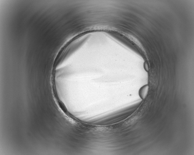 X0000074260847200609222149