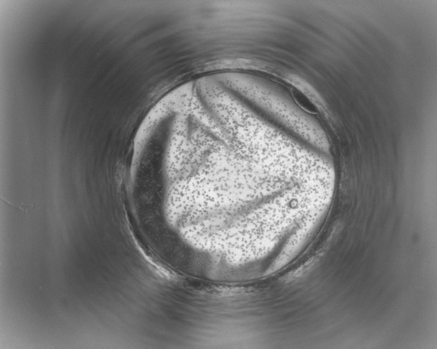 X0000074260849200609222149