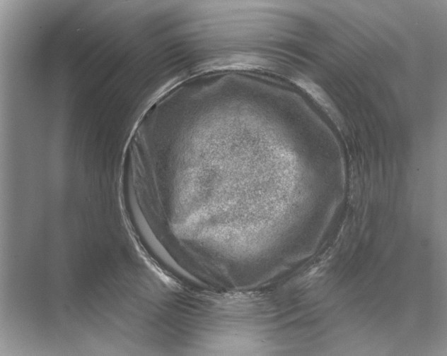 X0000074260850200609222149