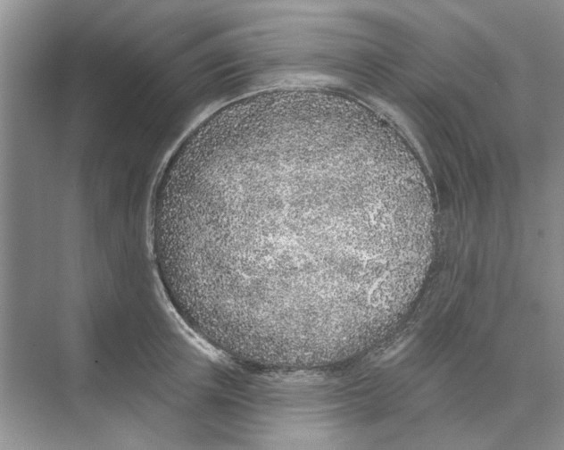 X0000074260851200609222149