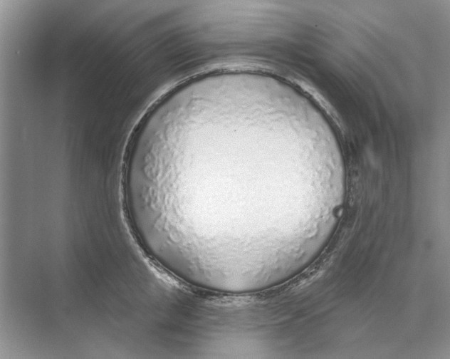 X0000074260853200609222149