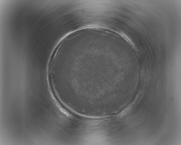 X0000074260854200609222149