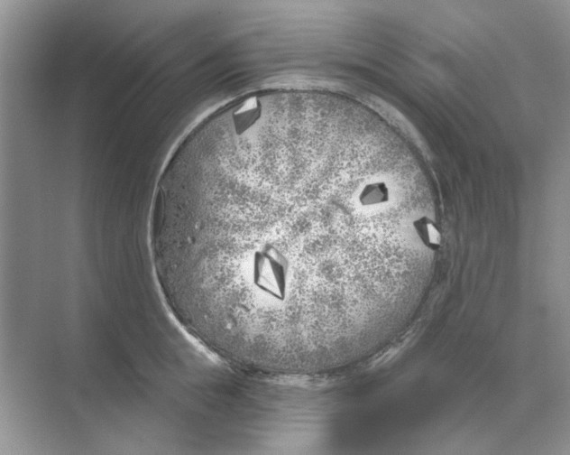 X0000074260855200609222149