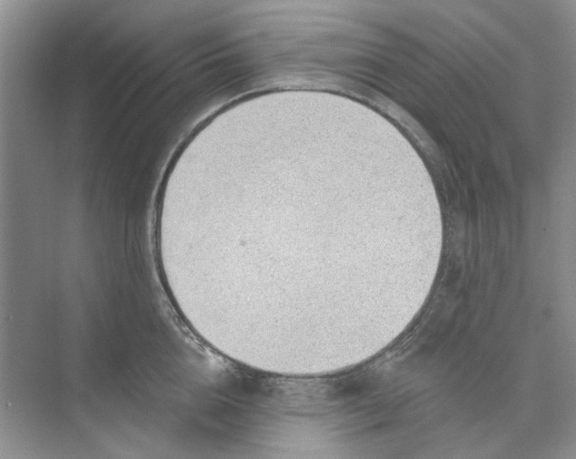 X0000074260856200609222149