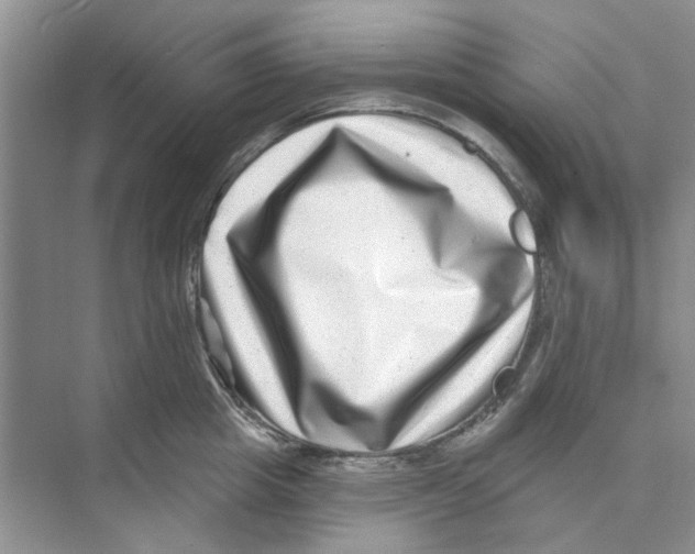 X0000074260857200609222149