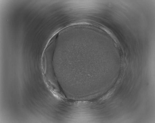 X0000074260858200609222149