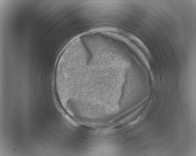 X0000074260860200609222149