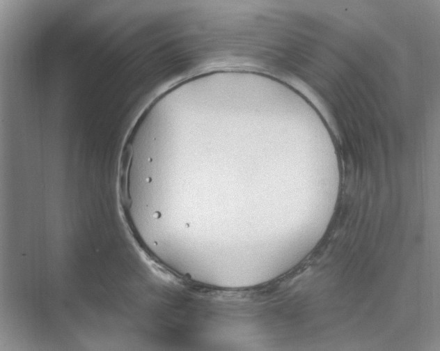 X0000074260861200609222149