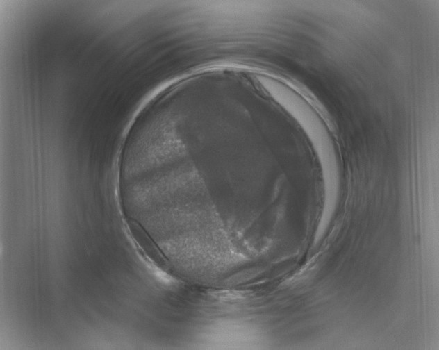 X0000074260862200609222149