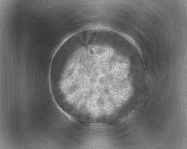 X0000074260863200609222149