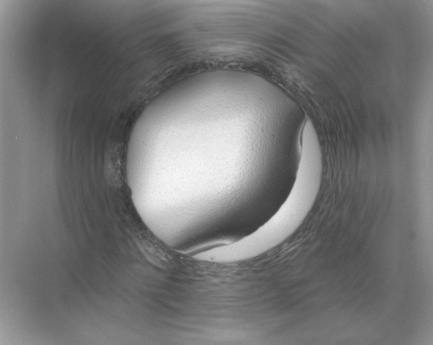 X0000074260868200609222148