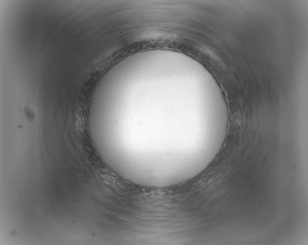 X0000074260869200609222148