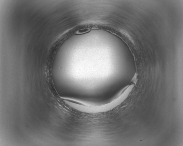 X0000074260872200609222148