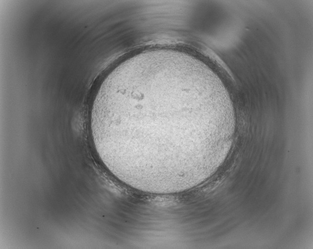 X0000074260874200609222148