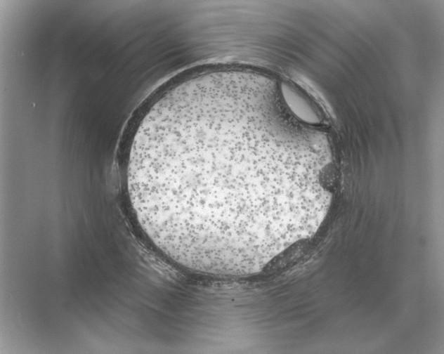 X0000074260876200609222148