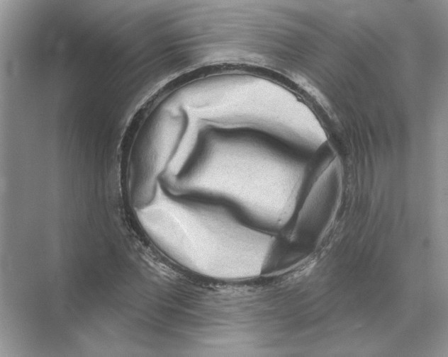 X0000074260877200609222148