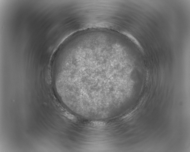 X0000074260878200609222148