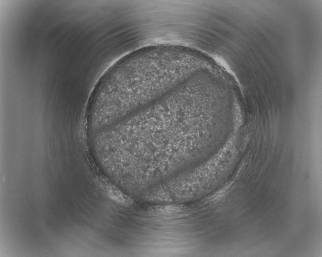 X0000074260879200609222148