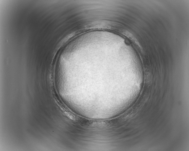 X0000074260882200609222148