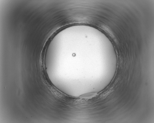 X0000074260883200609222148